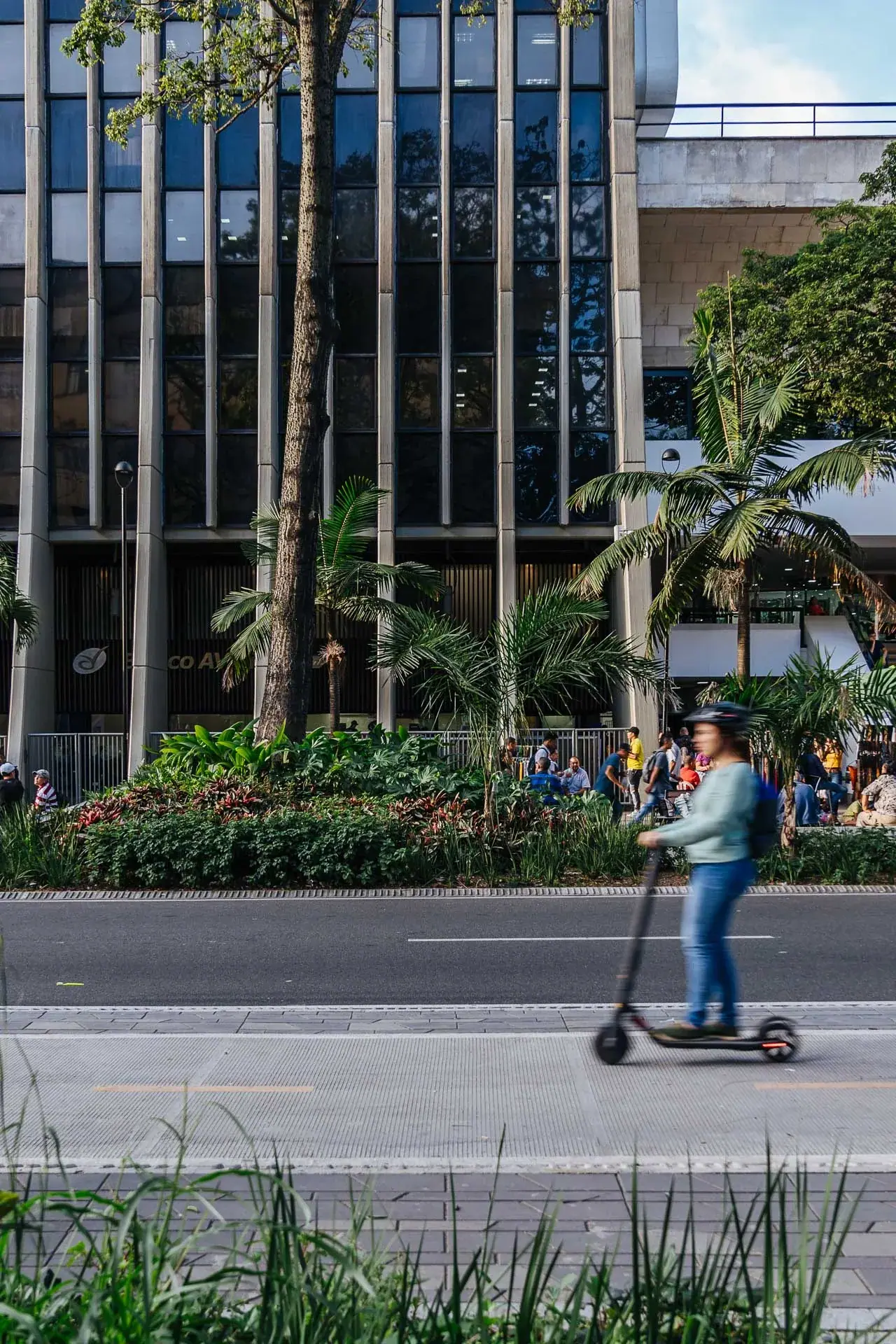 Mobiliario urbano en concreto con vegetación nativa integrada en el centro de Medellín.